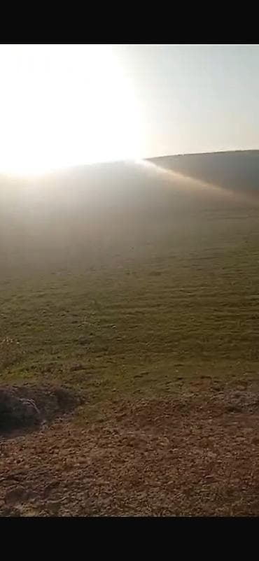 рыскулова молодая гвардия: 6 соток, Для строительства, Красная книга, Договор купли-продажи — 3