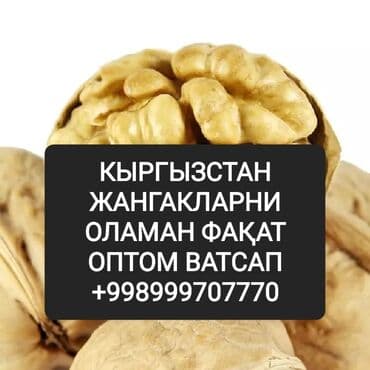 колдонулган шкафтар: Грецкий орех оптом оламан мен билан боғланиш учун ватсапдаги номерга — 1