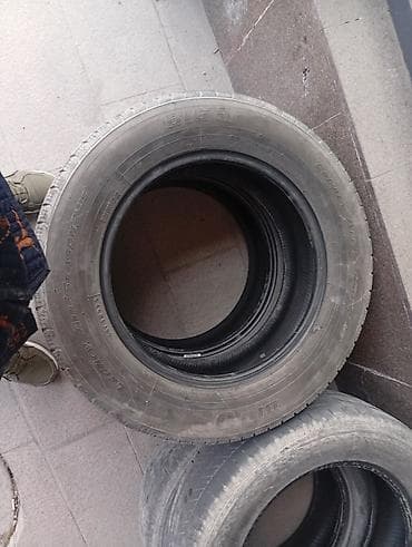 terrain: Шины 225 / 65 / R 17, Лето, Б/у, Комплект, Внедорожные (АТ/МТ), Япония, BLACK LION — 5