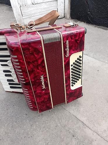 Велосипед аксессуарлары: Аккордеон Weltmeister Etto Special - Немецкий аккордеон с — 4