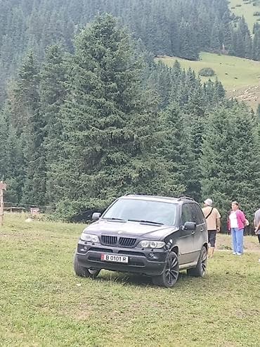 bmw x5 2003: BMW X5: 2005 г., 3 л, Автомат, Дизель, Кроссовер — 3