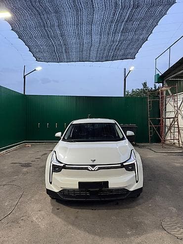 нетта л: BYD : 2022 г., 0.1 л, Автомат, Электромобиль, Кроссовер — 4