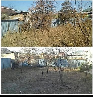 для травы: Уборка территории, Уборка двора и сада — 10