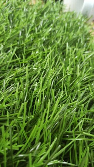 искусственный газон для мини футбольного поля цена: Футбольный газон,искусственный футбольный газон,газон +для футбольного — 2