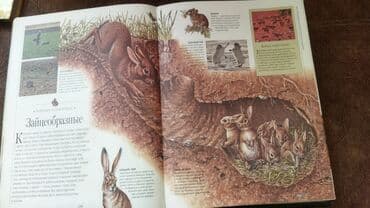 камуфляж форма бишкек: Продаю энциклопедию . 400 страниц в хорошем состоянии. твердый — 9