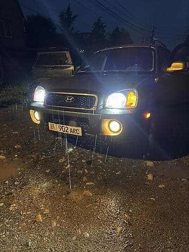 hundai: Hyundai Santa Fe: 2001 г., 2.7 л, Автомат, Бензин, Кроссовер — 7