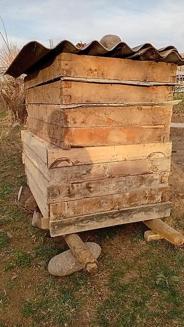 Продаю двухлойные окна цена договорная ширина 1метр длина 1,4 at lalafo.kg Продаю двухлойные окна цена договорная ширина 1метр длина 1,4