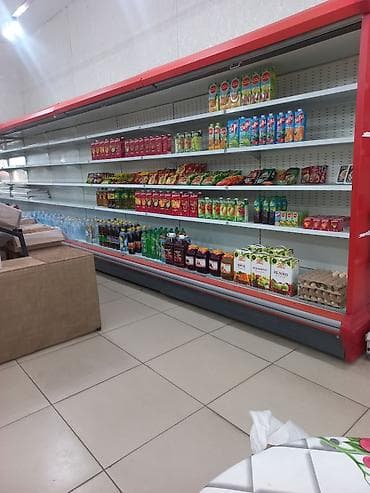 Морозильные шкафы, лари: Для напитков, Для молочных продуктов, Для мяса, мясных изделий, Италия, Б/у — 1