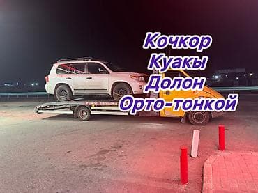 чаек: С частичной погрузкой, С прямой платформой, Со сдвижной платформой — 1