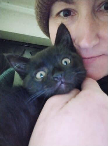 сколько стоит кастрация кота в бишкеке: Кошка даром: Беспородная, 3 месяца, Мальчик, Приучена к лотку — 6