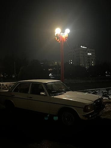 бак 124 мерс: Mercedes-Benz W123: 1982 г., 2.3 л, Механика, Дизель, Седан — 7