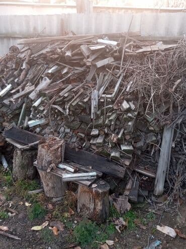 сухие дрова: Дрова — 2