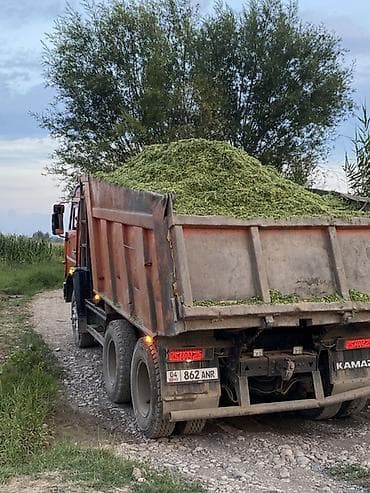 газ 66 рессор: Грузовик, Камаз, Стандарт, Б/у — 4