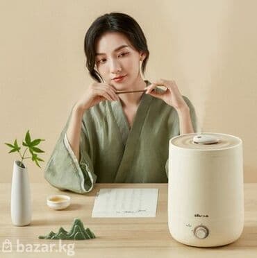 увлажнител воздуха: Увлажнитель воздуха Описание Бренд: Bear Модель: JSQ-C45U1 Цвет — 2