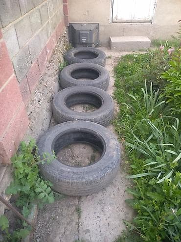 r16 ромашки: Комплект из 4 автомобильных шин без дисков. Характеристики: - Летние — 1