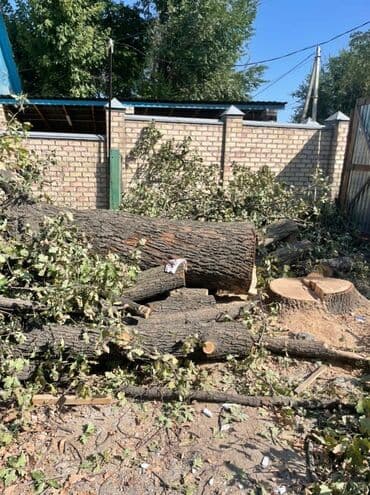 дрова самовывоз: Дрова — 4