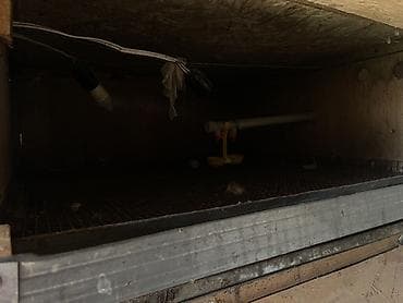 цыплята индейки: Батарейные клетки для птицеводства - Многоярусные секции из — 5