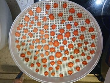 сушилка апарат: Дегидраторы-сушилки для овощей и фруктов российского производства — 11