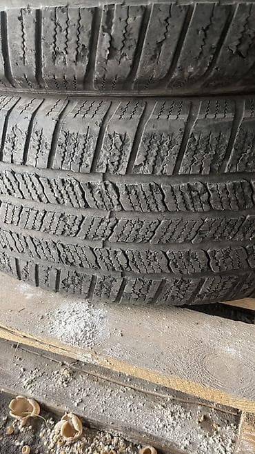 шины 245 55 r19: Шины 245 / 55 / R 19, Лето, Б/у, Комплект, Внедорожные (АТ/МТ), Франция, Michelin — 2