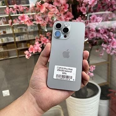 IPhone 15 Pro Max, Колдонулган, 256 ГБ, Natural Titanium, 95 % — 1