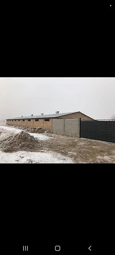 Раздольное село Сдается в аренду Кошару, от Шлагбаума 10км. возле