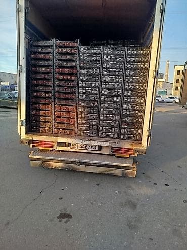 январь 5 1: Грузоперевозки24/7 Бишкек Чолпон Ата Каракол Mercedes спринтер ( — 6