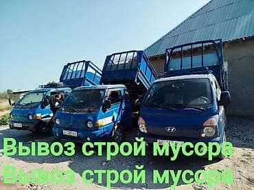мойка собак: Вывоз мусор вывоз мусор вывоз мусор Вывоз мусор вывоз мусор вывоз — 2