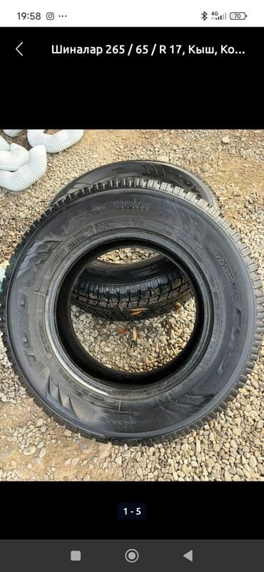 r15 ist: Шины 265 / 65 / R 17, Зимняя шипованная, Внедорожные (АТ/МТ), Toyo — 2