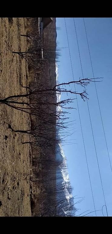 участок воост: 15 соток, Для строительства, Договор дарения — 2