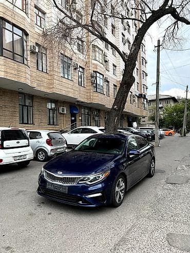 2019: Kia Optima: 2019 г., Седан — 3