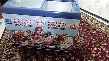 Сатылат срочно баасы 20 мин сом абалы жакшы фридол куйуп койуш керек