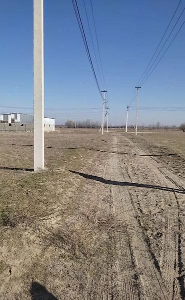 городок энергетиков: 4 соток, Для строительства, Красная книга — 5