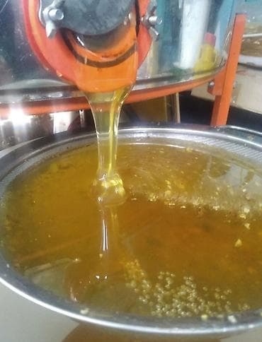 ульи пчелы: Натуральный пчелиный мёд с собственной пасеки - Свежий откачанный мёд — 1