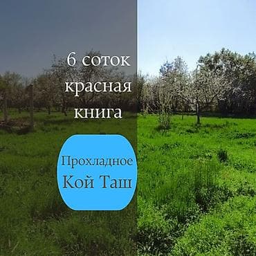 20 тон контейнер у: 6 соток, Для строительства, Красная книга — 1