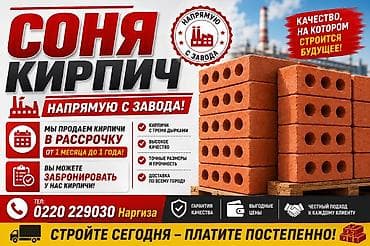 Соня Кирпич — кирпич напрямую с завода. - Кирпичи с тремя круглыми
