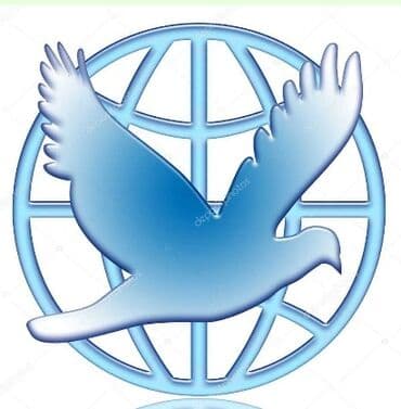 с квартирантами с магазином готовый бизнес квартирный комнат действующим: Благотворительный фонд.
Продаю или есть варианты.
Возможен обмен — 1