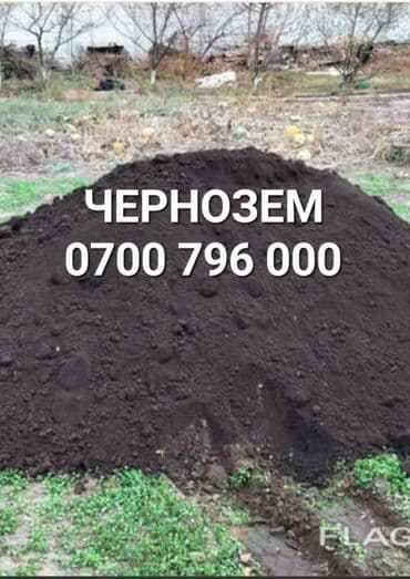 искусивенный газон: Чернозем, чернозем, чернозем, перегной — 1