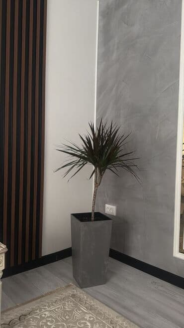 центр отдыха караенквартиры 1 комнатные в близи центр отдыха комсомол 1 ком квартиры студия: 1 комната, Постельное белье — 1