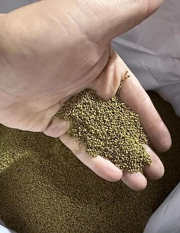 туки сена: Семена кормовых растений: Люцерна, Самовывоз — 3