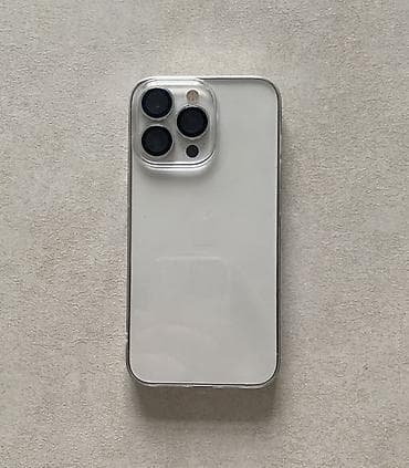 IPhone 13 Pro, Новый, 128 ГБ, Серебристый, Чехол, 83 %