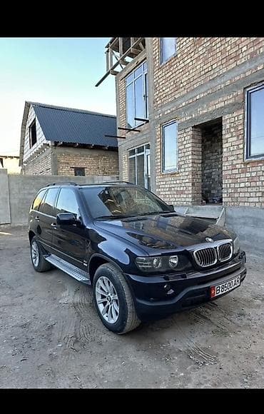 бмв 523: BMW X5: 2004 г., 3.3 л, Типтроник, Бензин, Внедорожник — 4