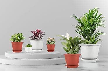 Горшок для цветов с фиксируемым поддоном InGreen коллекция Aphrodite