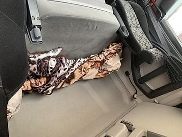 m5 e60: Тягач, Scania, 2018 г., Тентованный — 5