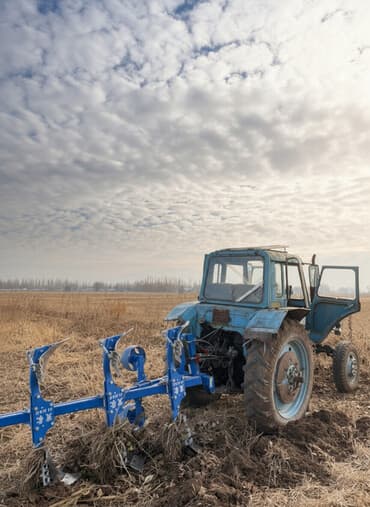 трактор юмузу: Трактор менен соко сатылат баасы 500.000 соко менен Чоогу мтз 82 — 1