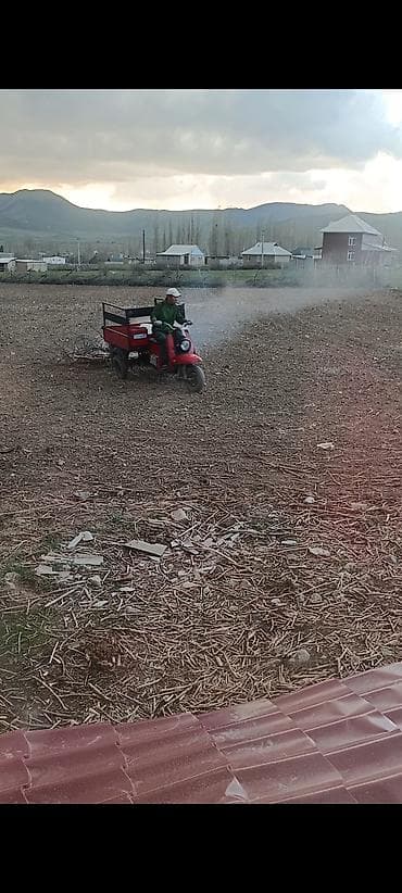 скутера с контейнера: Мотороллер муравей Бензин, 150 - 199 км, До 299 кг, Б/у — 7