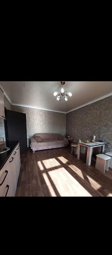 квартира берилет а: Студия, Риелтор, Чогуу жашоосу жок, Толугу менен эмереги бар — 1