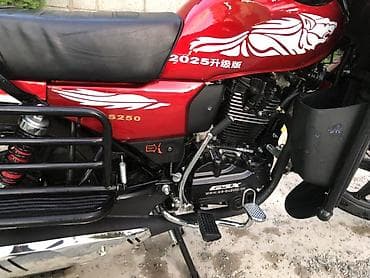 suzuki dr: 250 куб. см, Бензин, Взрослый — 5