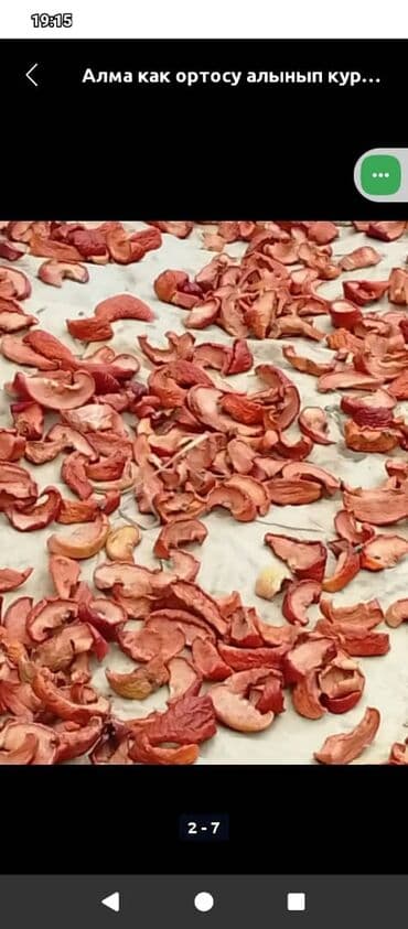 веник с совком цена бишкек: Хурма в ящиках - Сорт: хурма лепешка (не вяжет при полной — 13