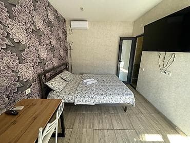 1 комната, Кондиционер, Круглосуточное заселение, Душевая кабина