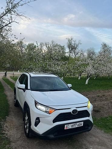 Продажа авто: Toyota RAV4: 2020 г., 2.5 л, Автомат, Бензин, Кроссовер — 2